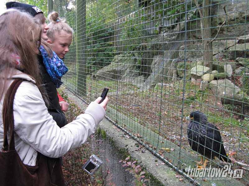 ZOO