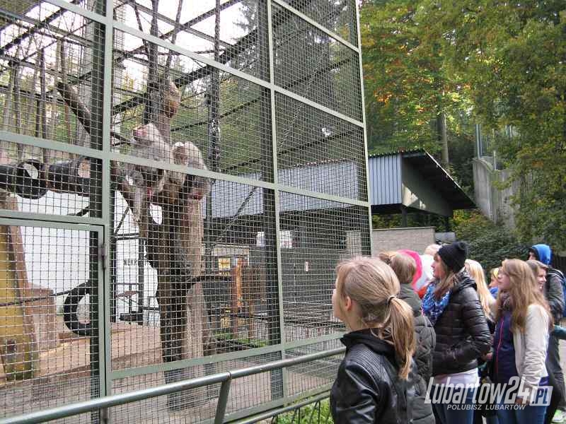 ZOO