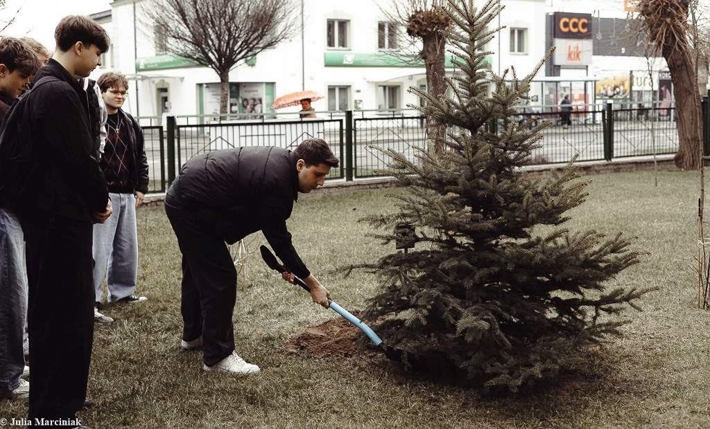 Maturzyści zasadzili drzewa