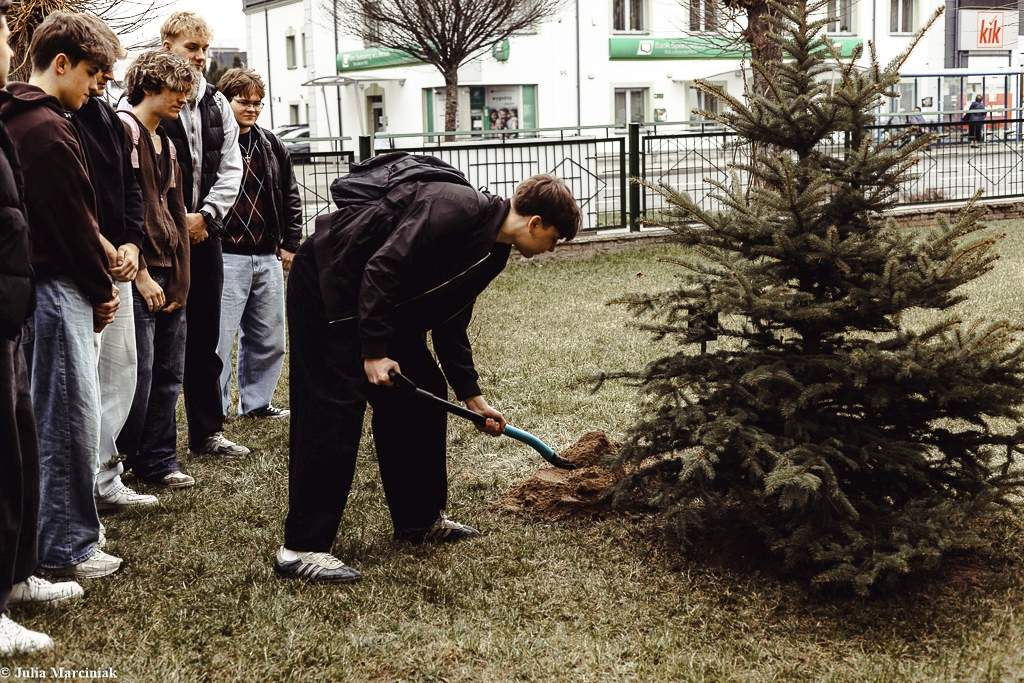 Maturzyści zasadzili drzewa