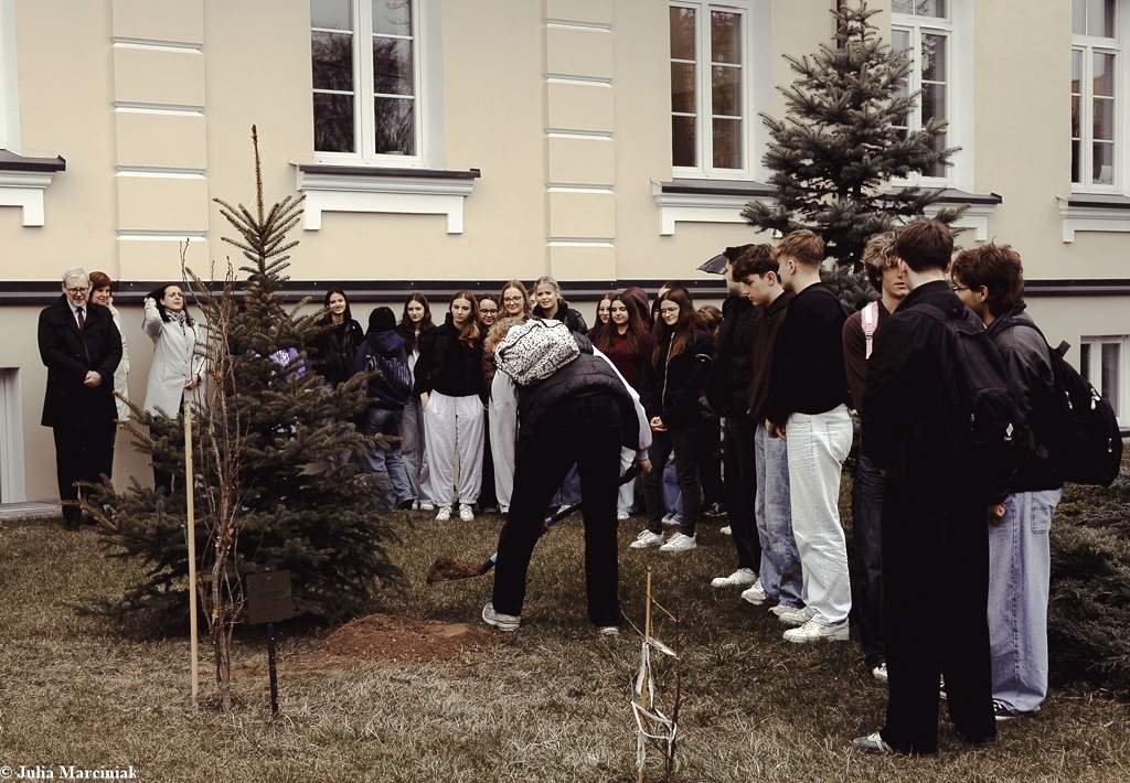 Maturzyści zasadzili drzewa