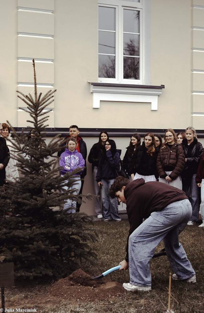 Maturzyści zasadzili drzewa