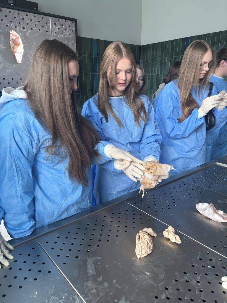 II LO na warsztatach anatomicznych