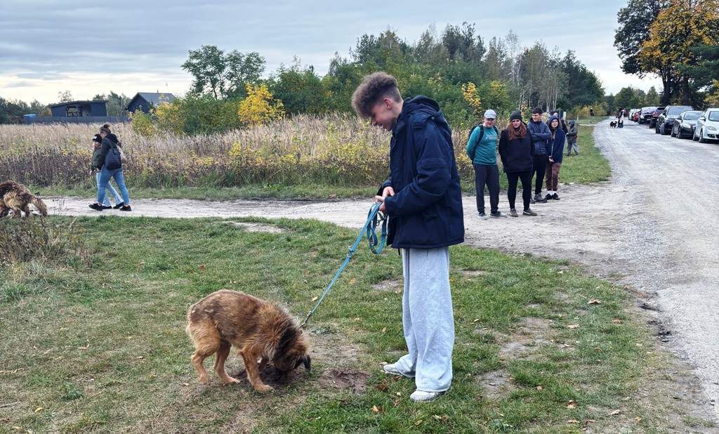 MAŁE GESTY, WIELKA POMOC