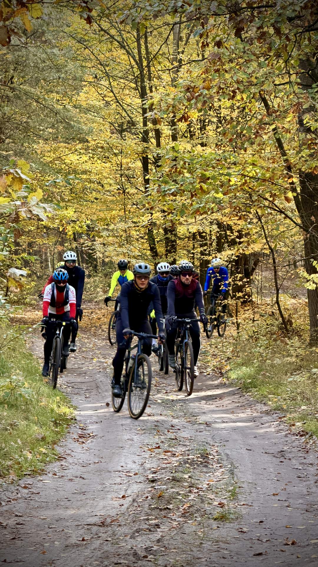 Gravelowisko Coffee Ride, Lasy Kozłowieckie, 18.10.2026