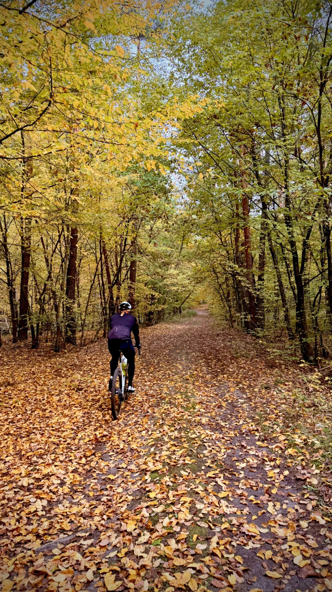Gravelowisko Coffee Ride, Lasy Kozłowieckie, 18.10.2026