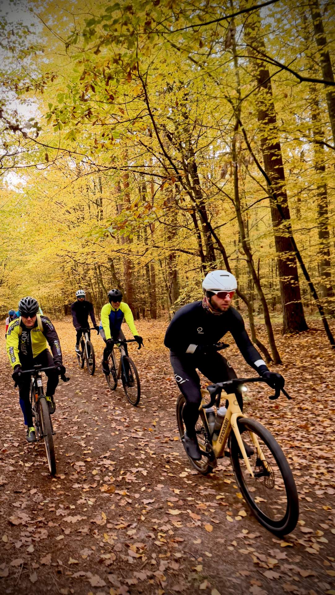 Gravelowisko Coffee Ride, Lasy Kozłowieckie, 18.10.2026