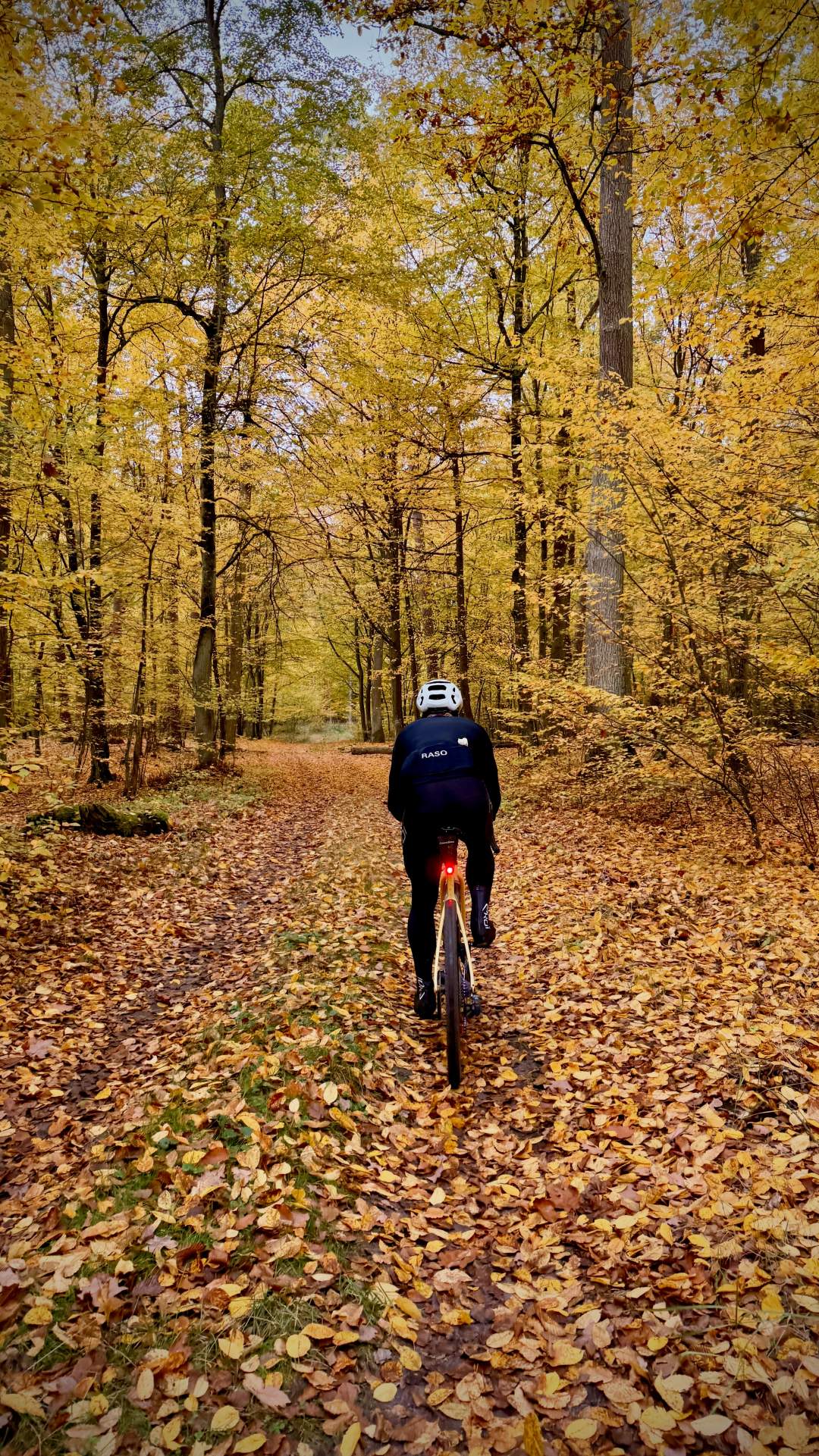 Gravelowisko Coffee Ride, Lasy Kozłowieckie, 18.10.2026