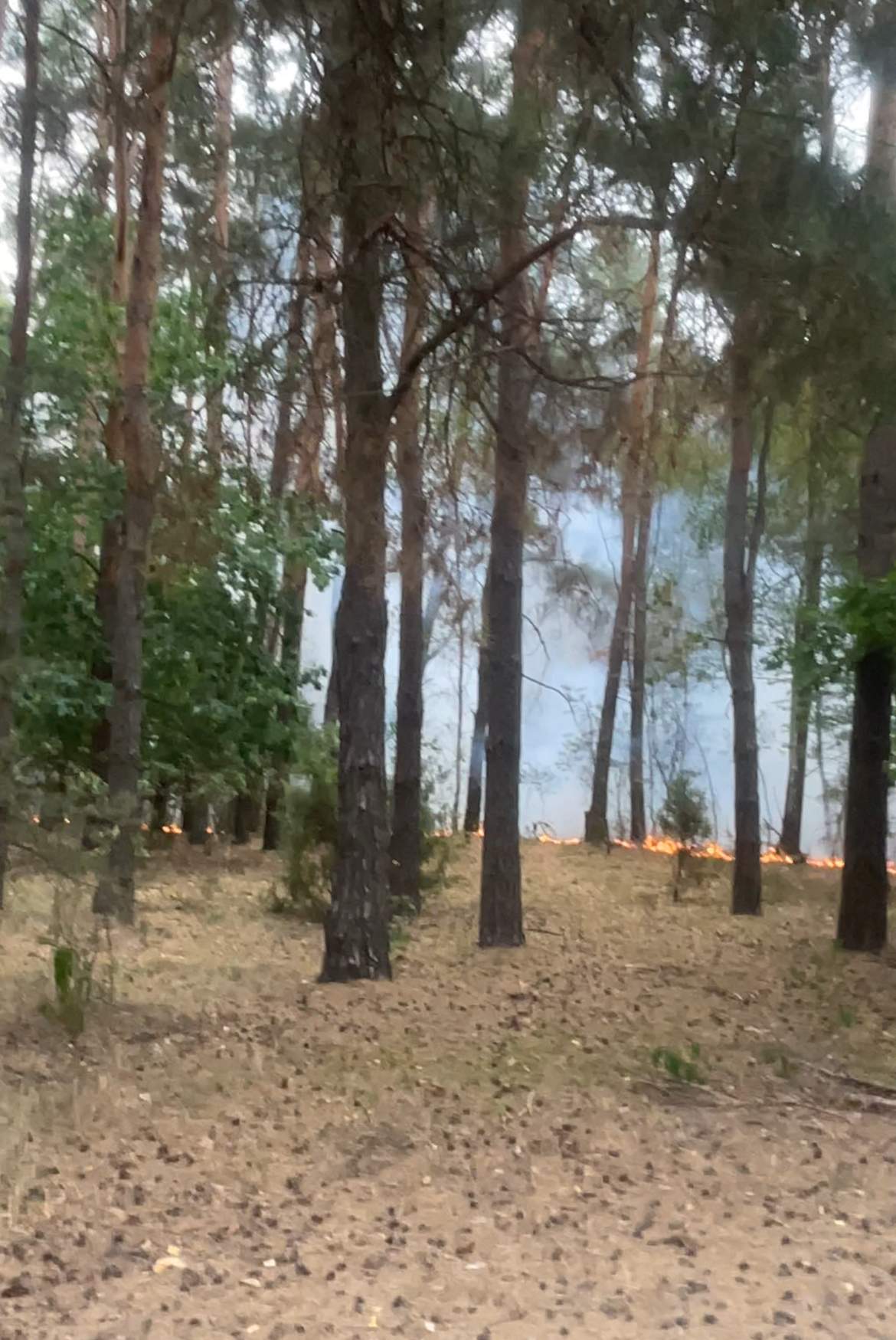 Pożar