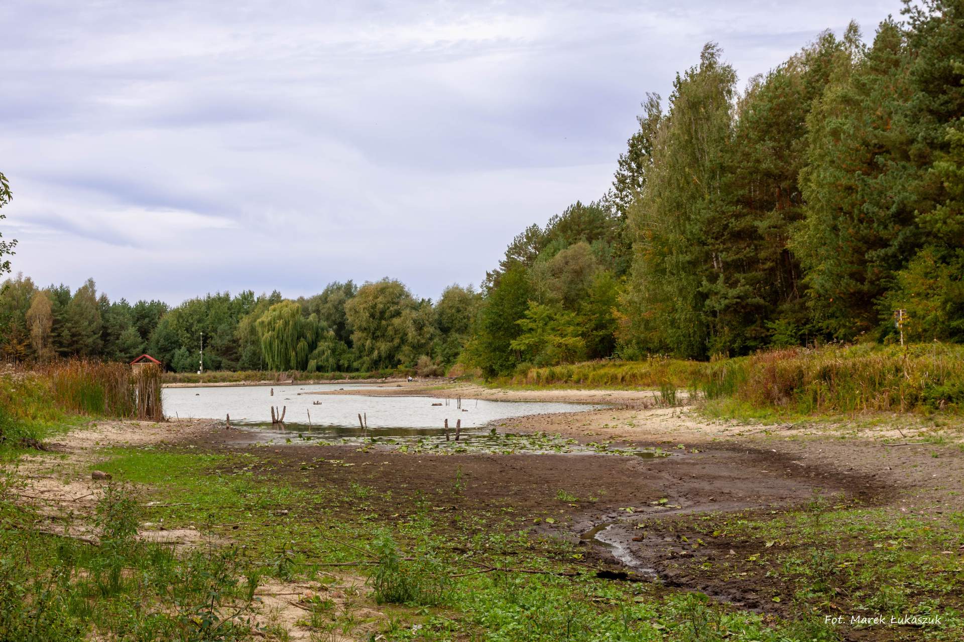 Zalew Pałecznica
