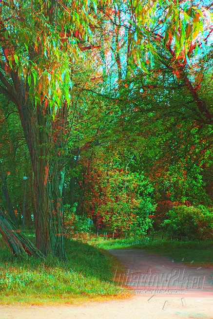Trójwymiarowe zdjęcia Lubartowa