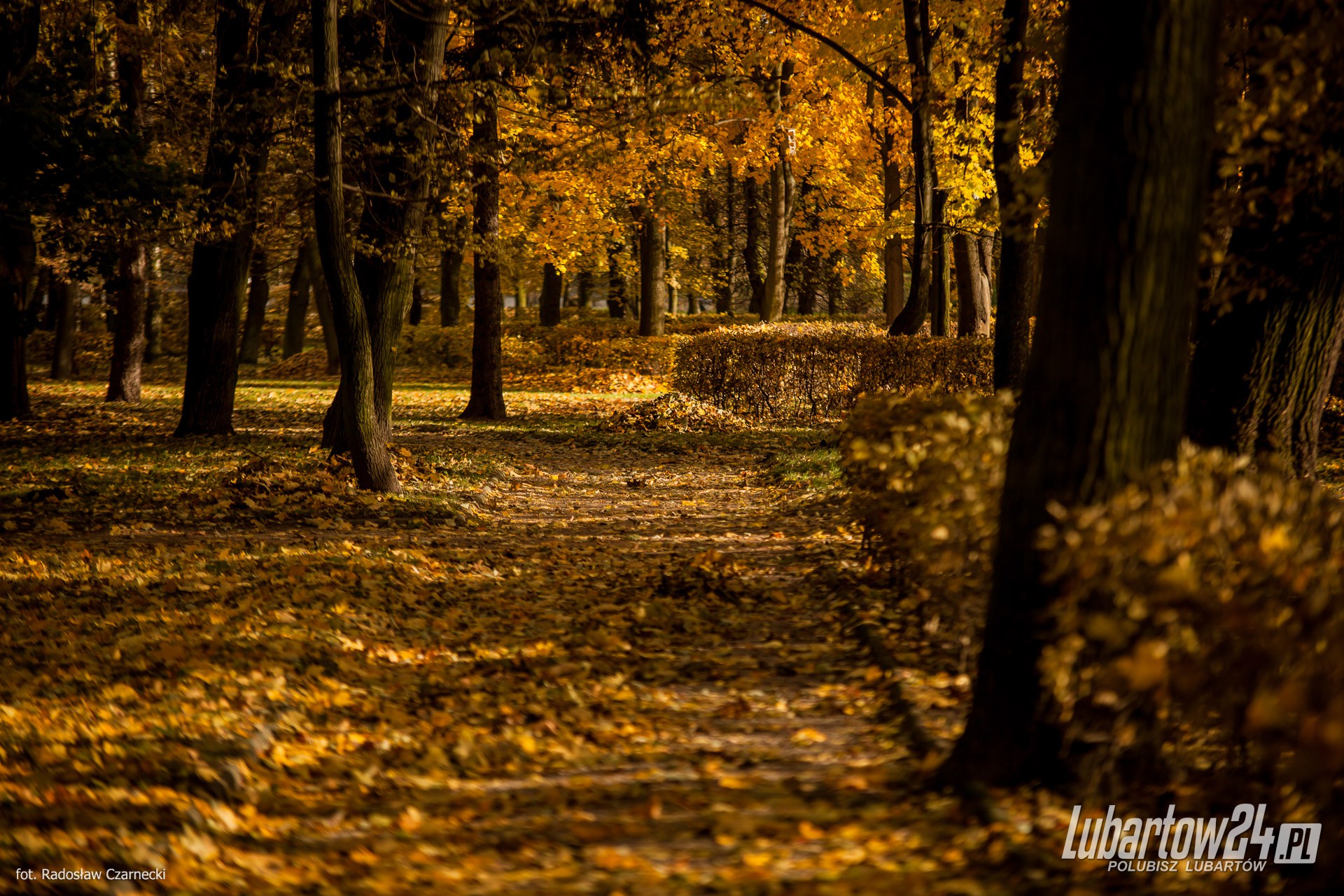 Jesień w Lubartowie