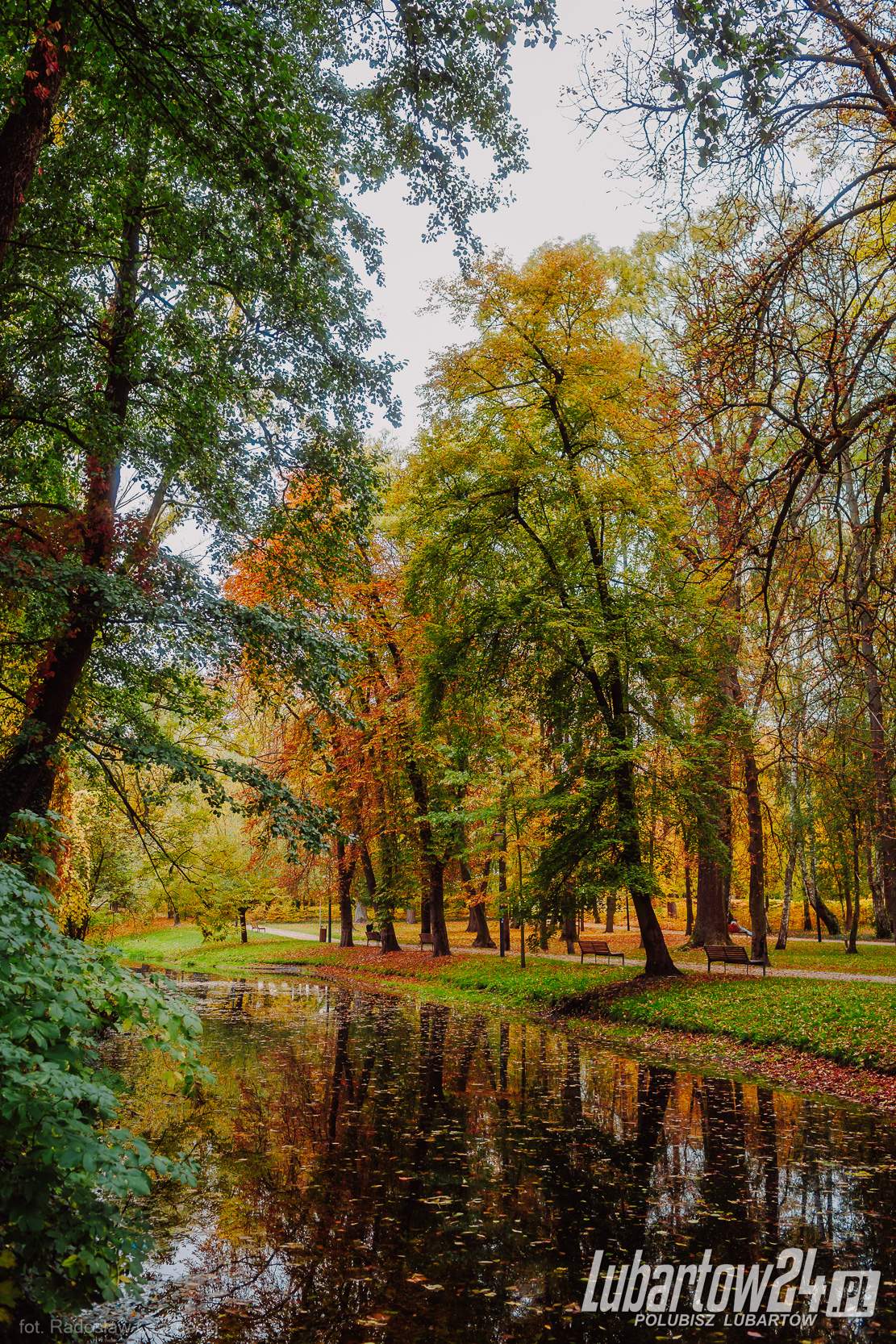 Jesień w parku