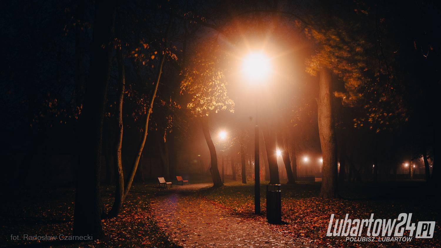 Park skąpany w listopadowej mgle