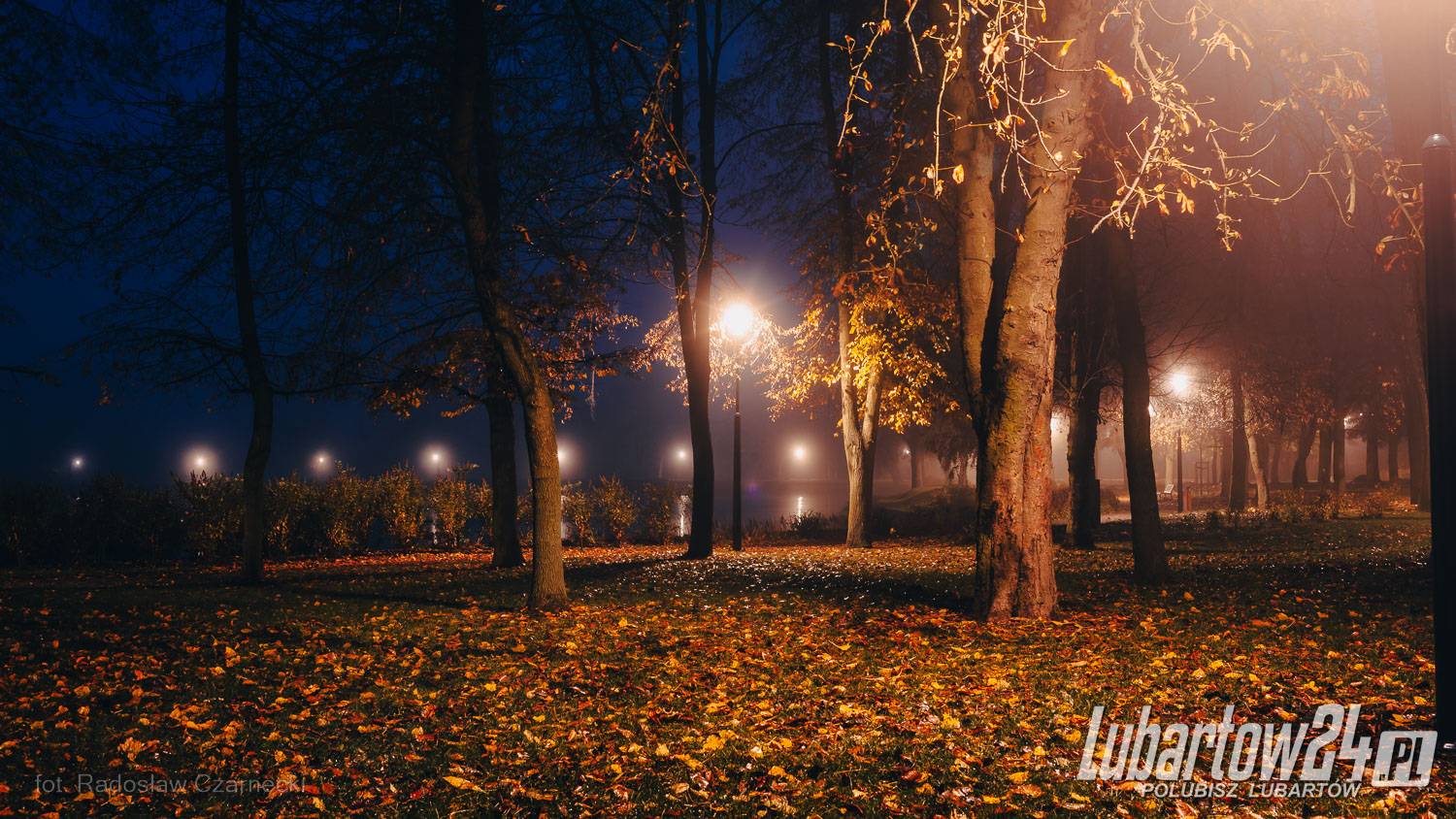 Park skąpany w listopadowej mgle