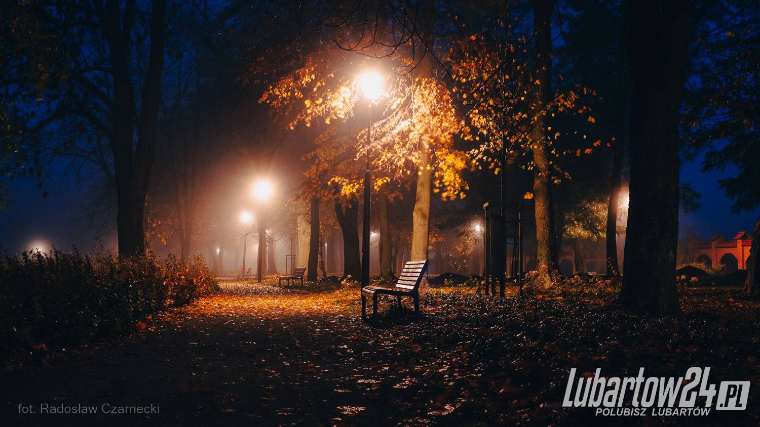 Park skąpany w listopadowej mgle