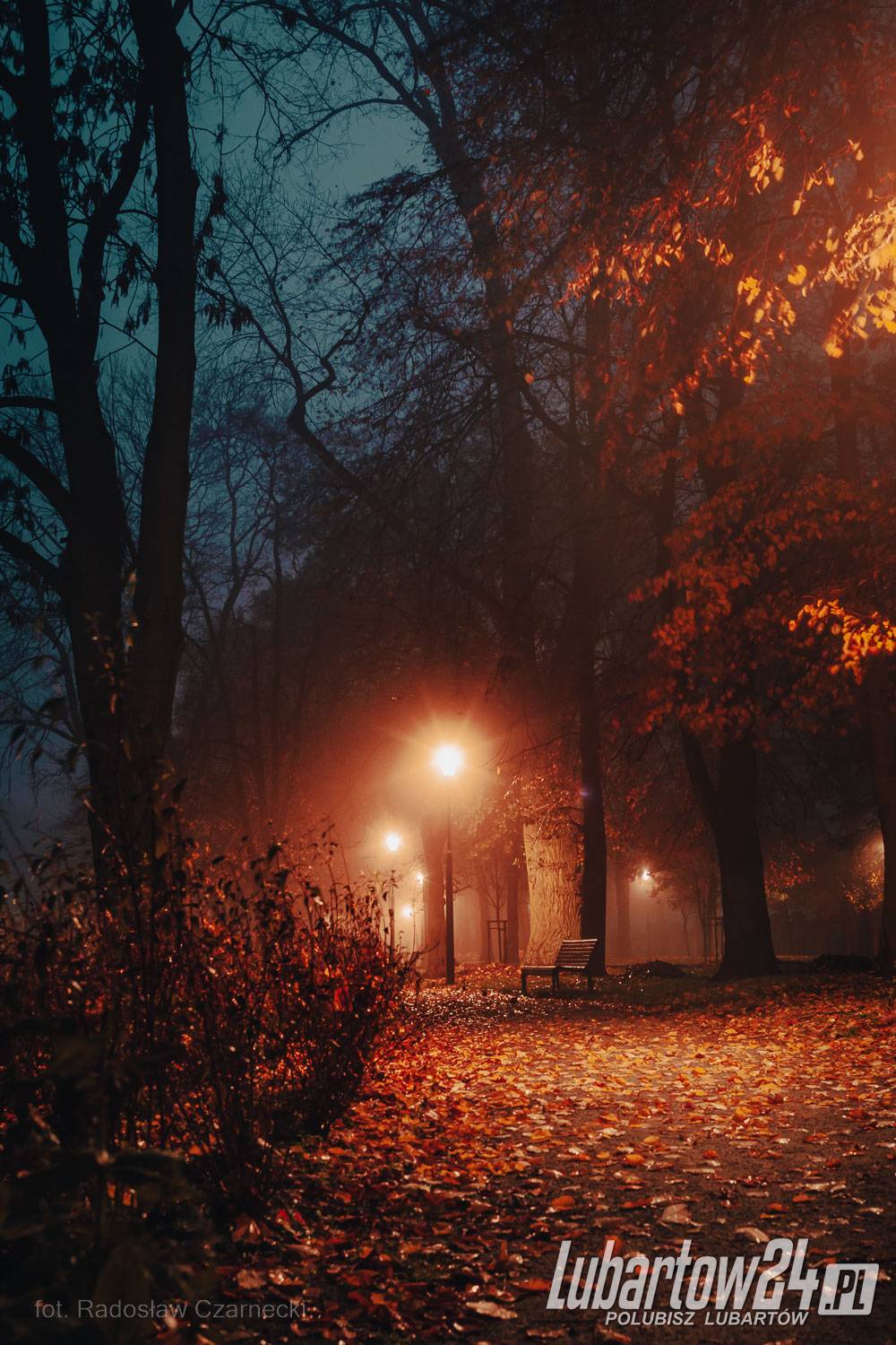 Park skąpany w listopadowej mgle