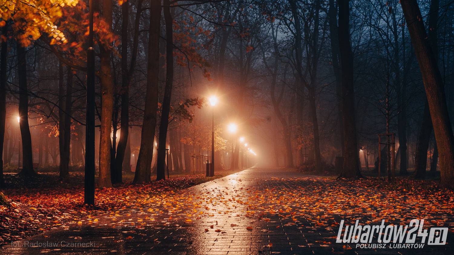 Park skąpany w listopadowej mgle