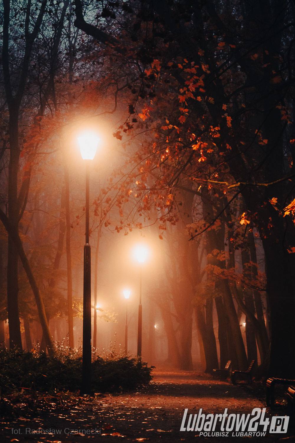 Park skąpany w listopadowej mgle