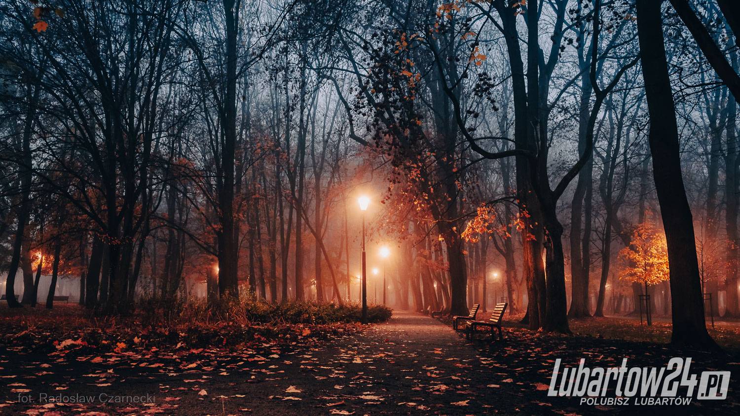 Park skąpany w listopadowej mgle