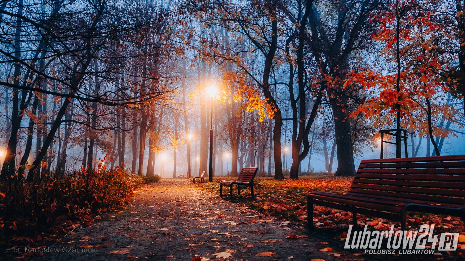 Park skąpany w listopadowej mgle