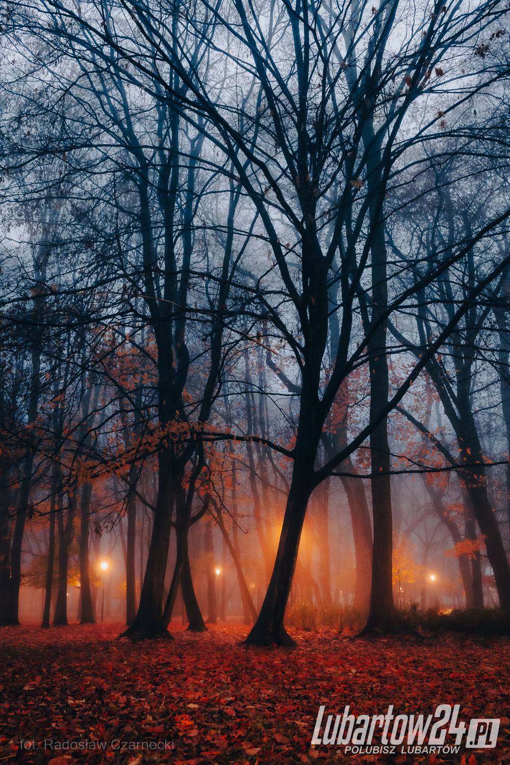 Park skąpany w listopadowej mgle