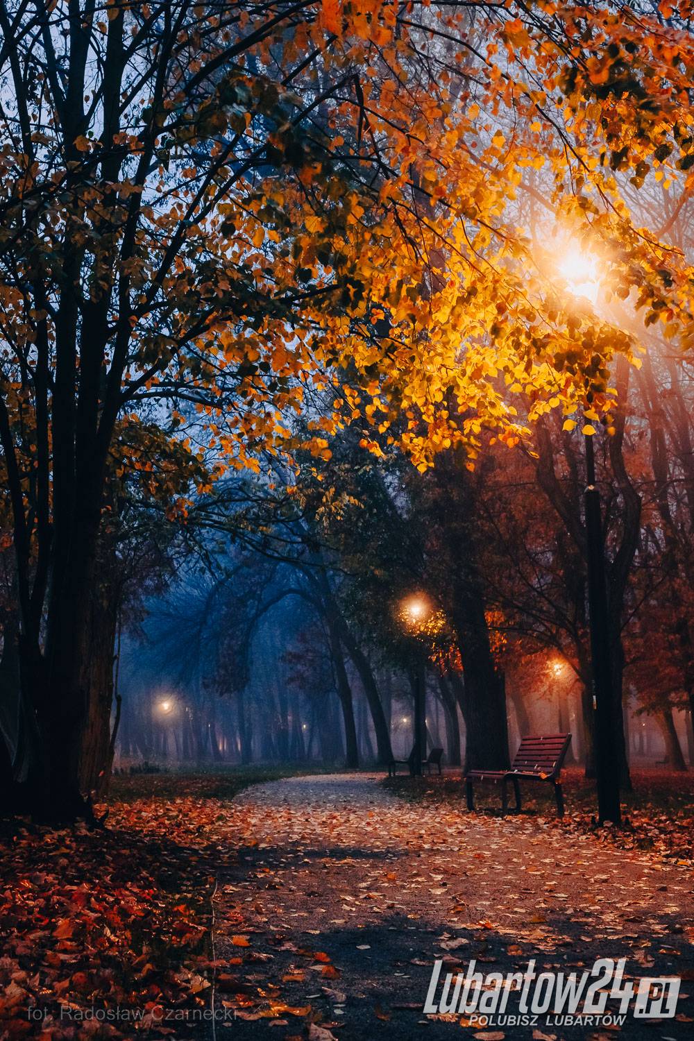 Park skąpany w listopadowej mgle