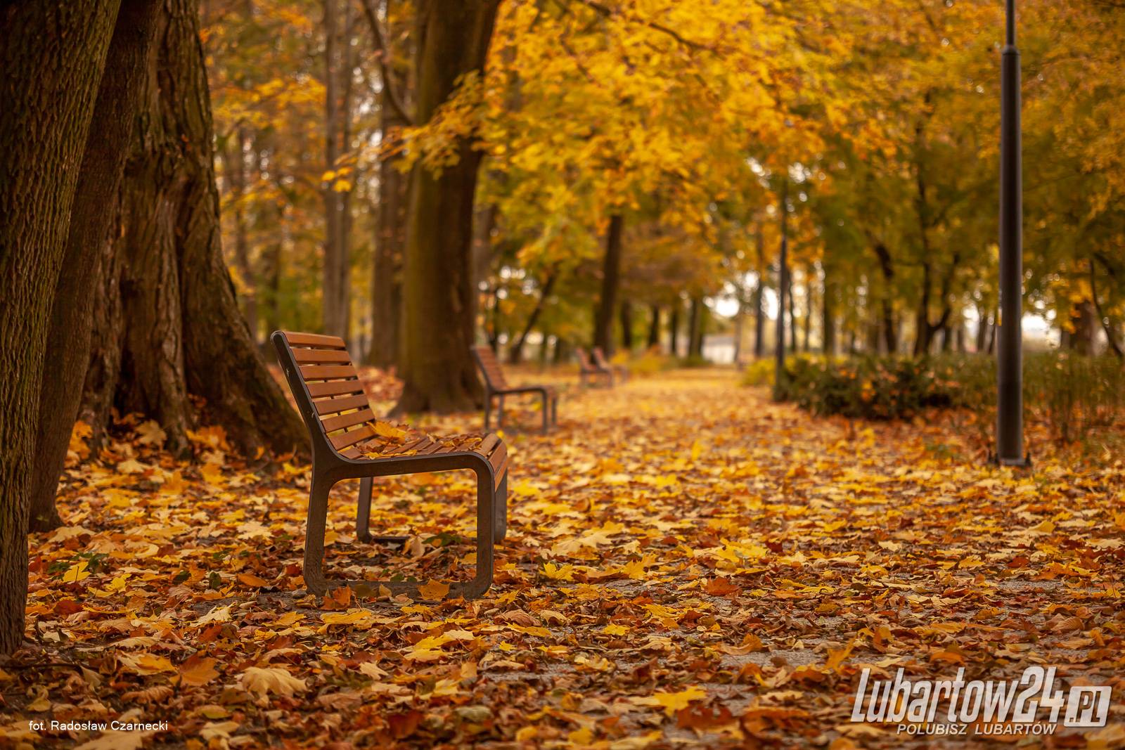 Jesień w lubartowskim parku