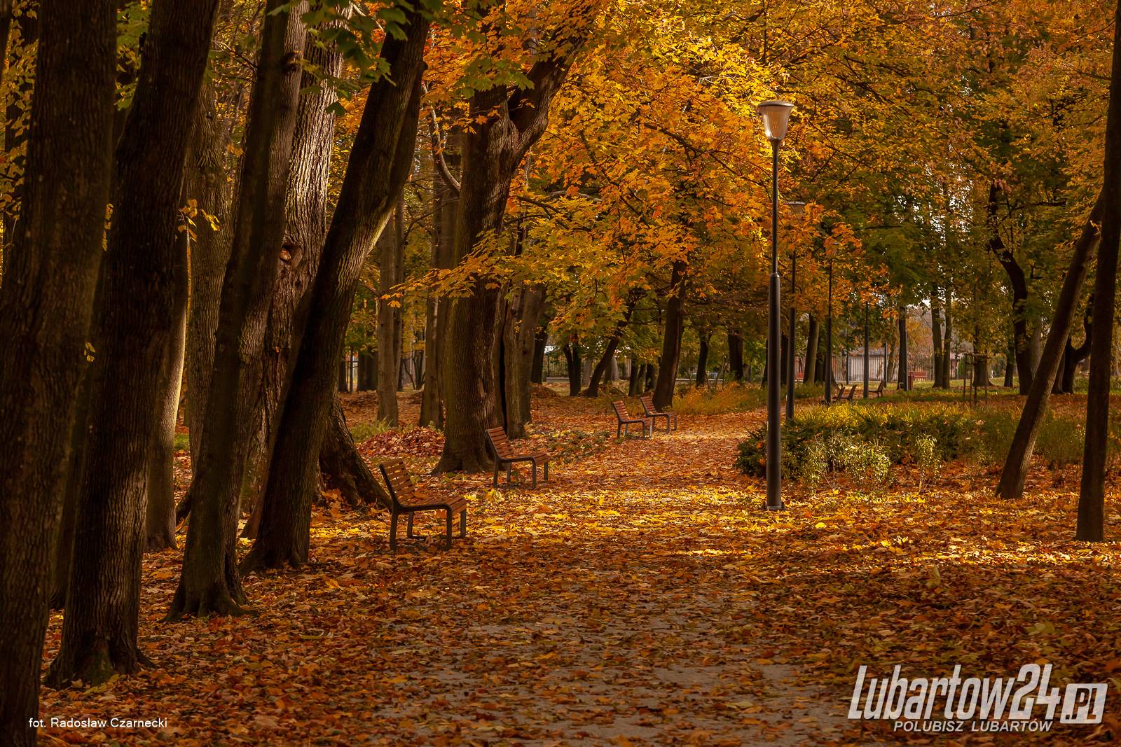 Jesień w lubartowskim parku
