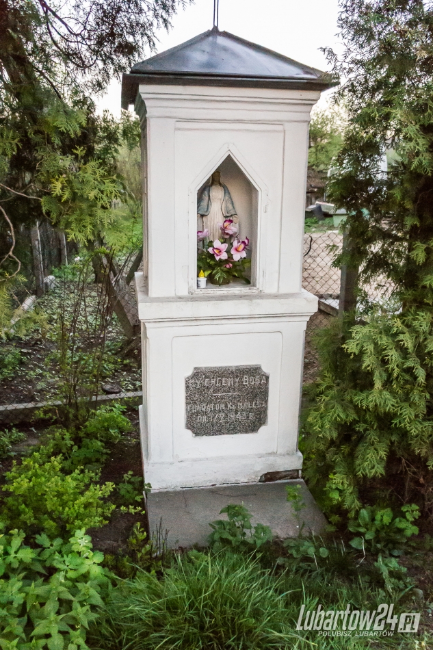 Gmina Lubartów