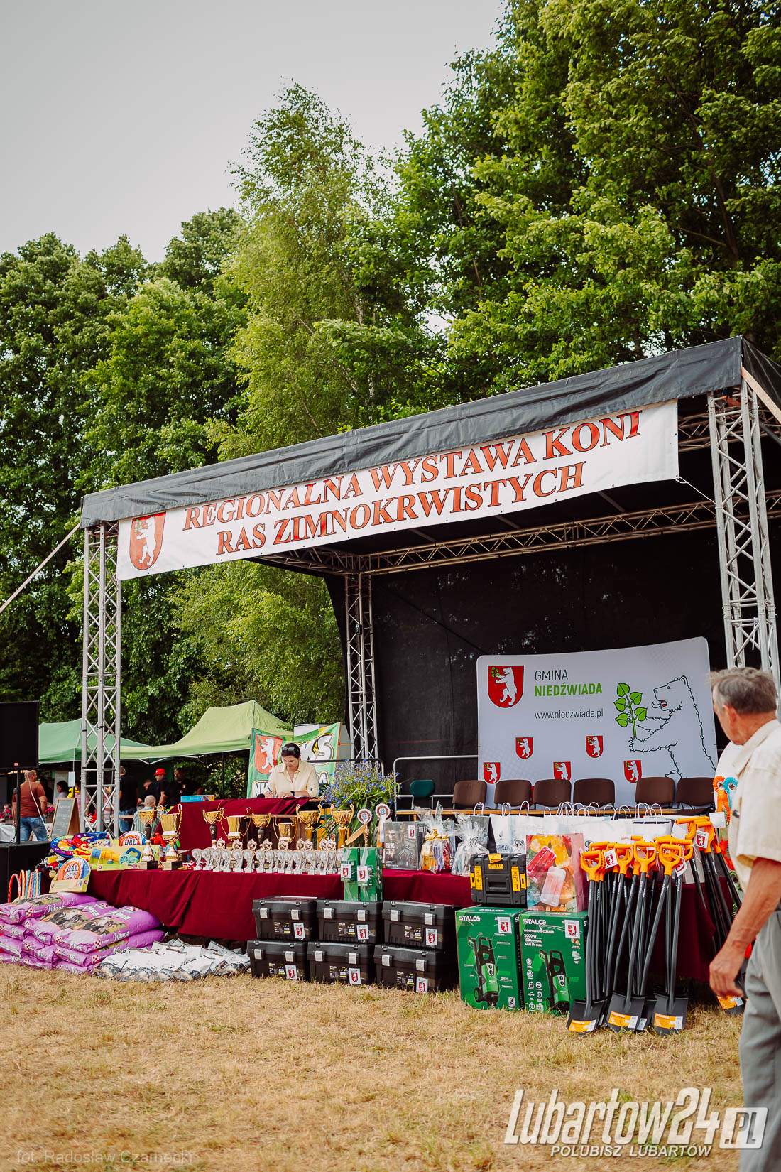 Wystawa koni ras zimnokrwistych w Tarle