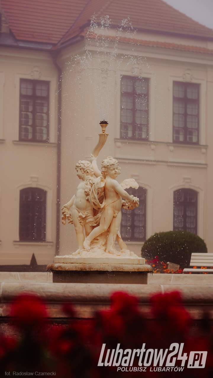 Mglisty poranek w parku w Kozłówce