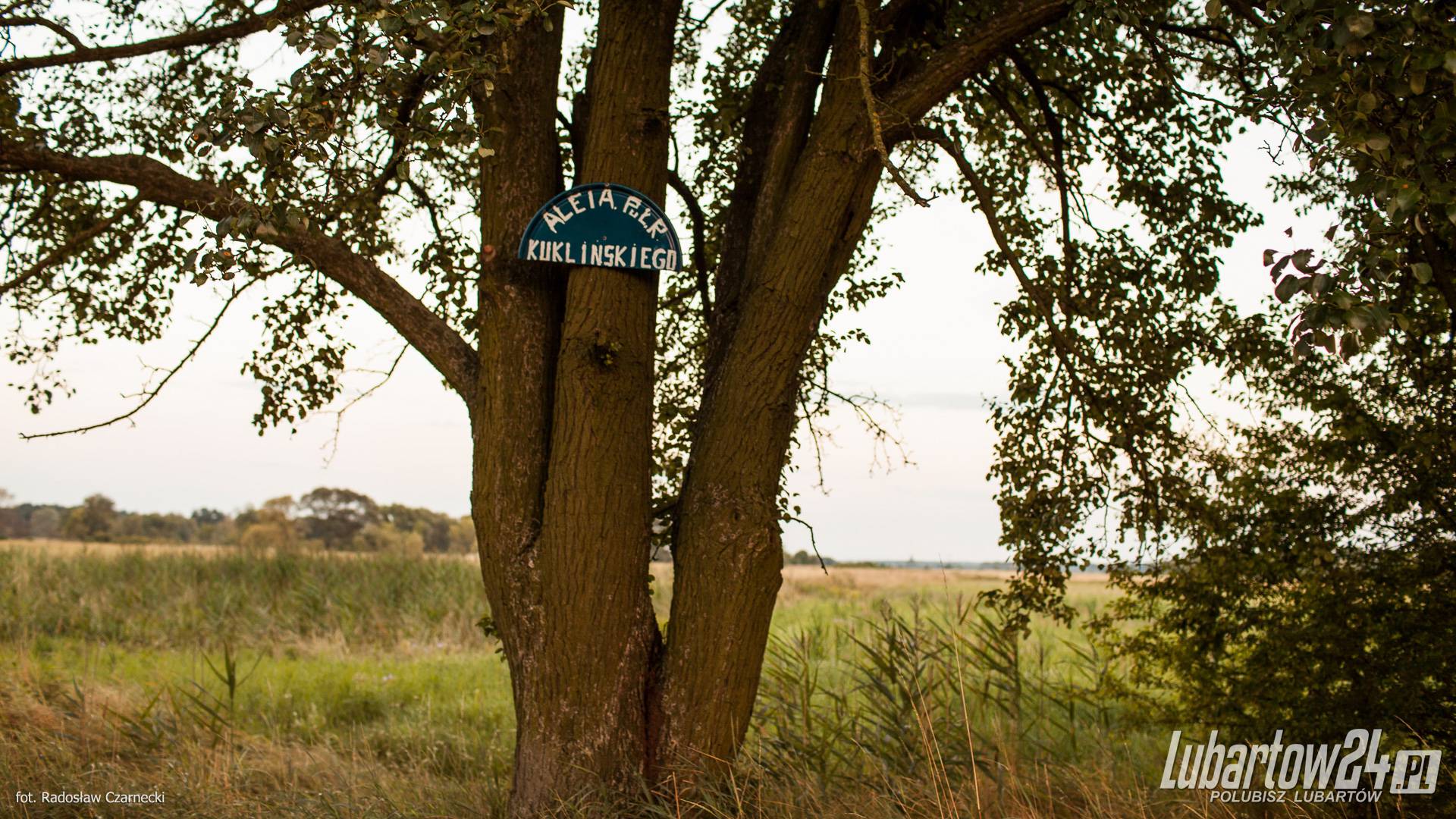 Aleja nad Wieprz