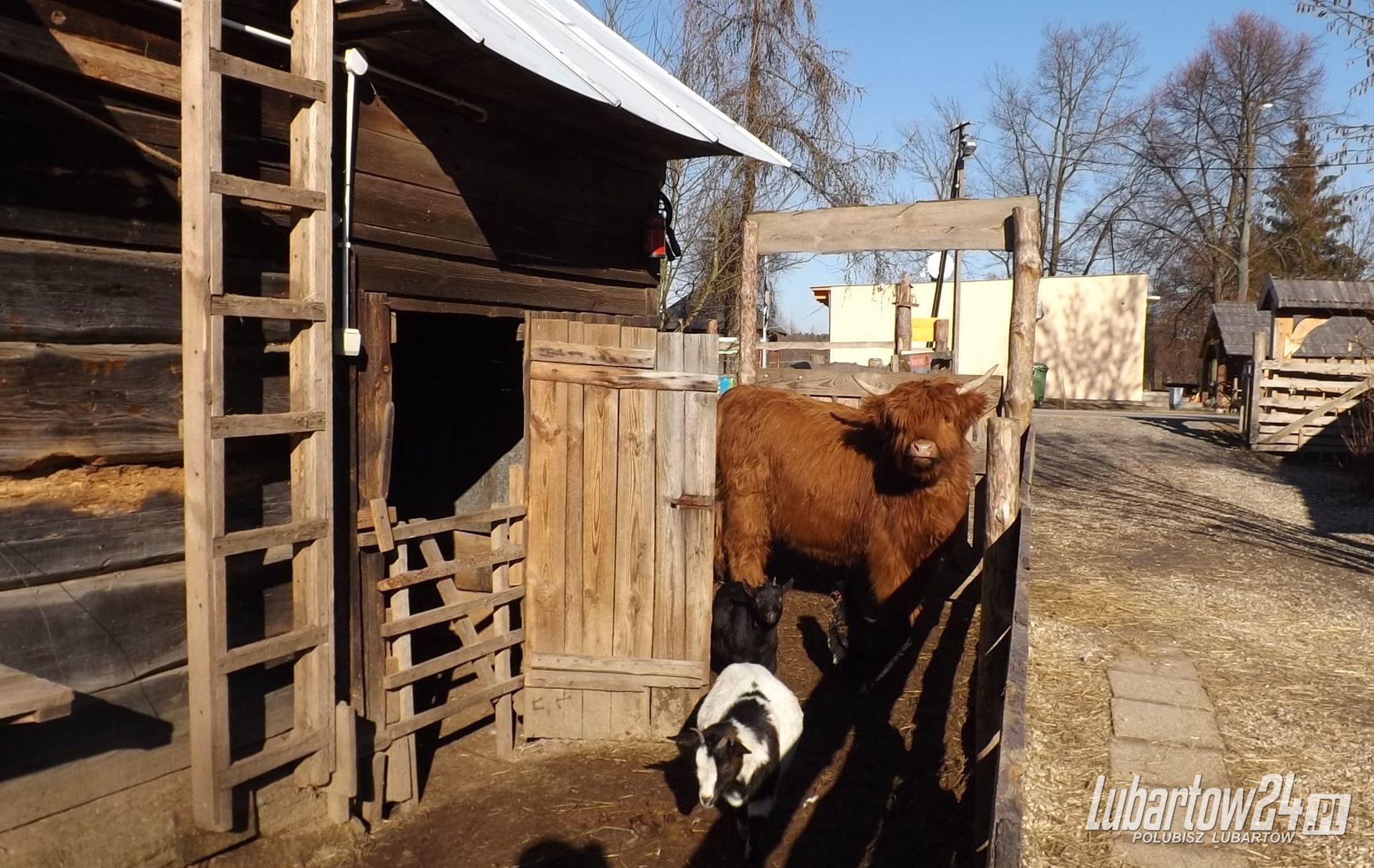Zwierzyniec u Adama w Dąbrówce