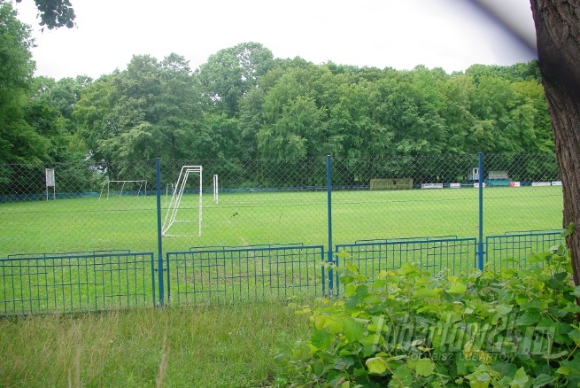 Lewart - boisko
