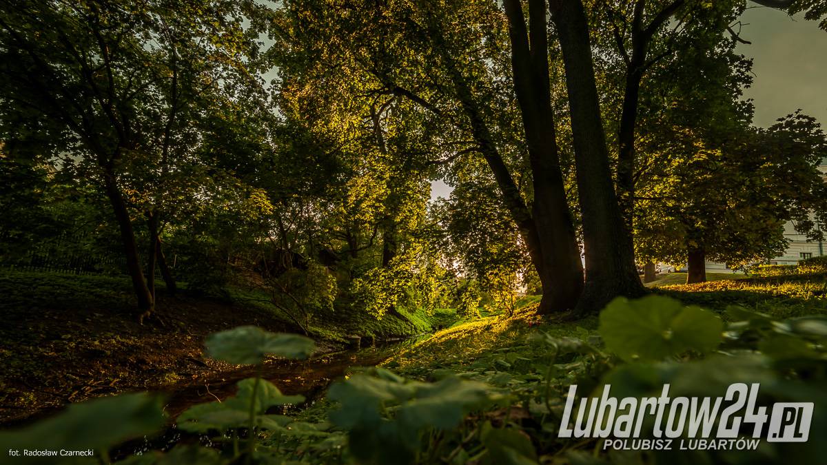 Miasto Lubartów