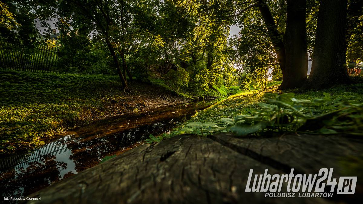Miasto Lubartów