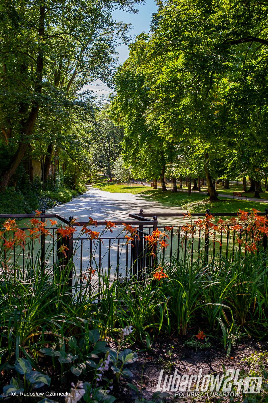 Park w Lubartowie