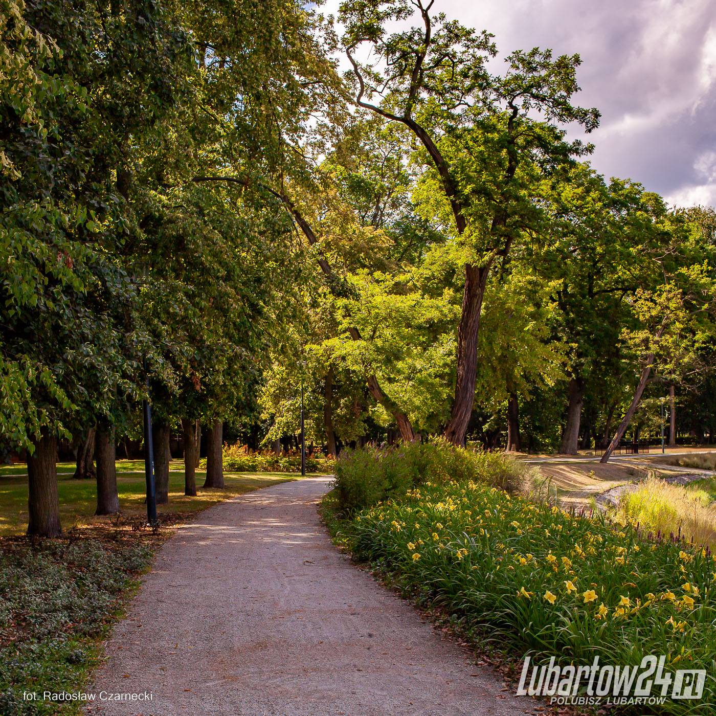Park w Lubartowie