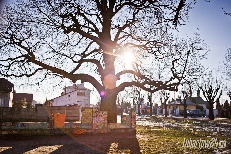 Lubartów