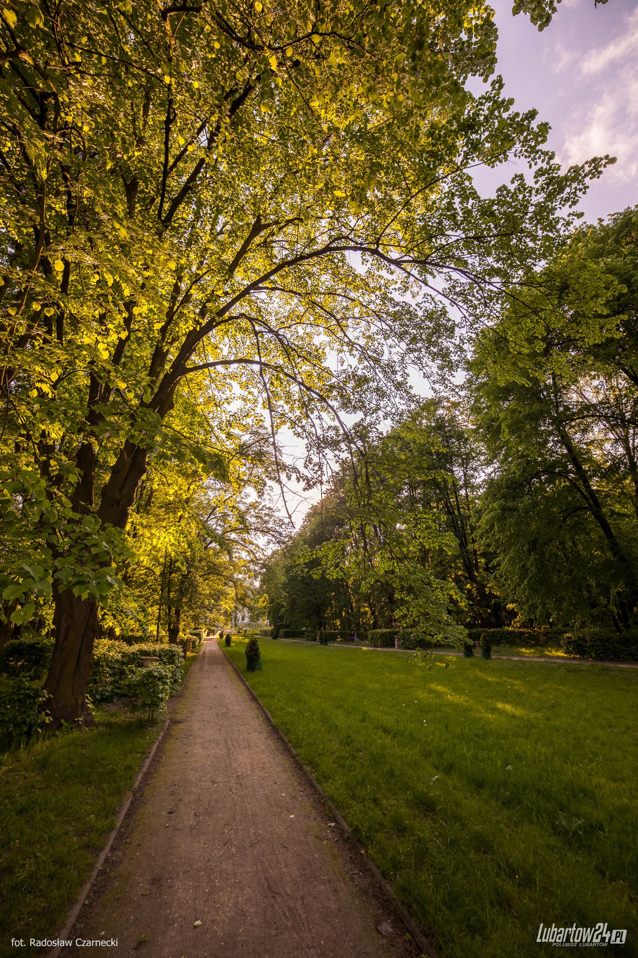 Lubartów