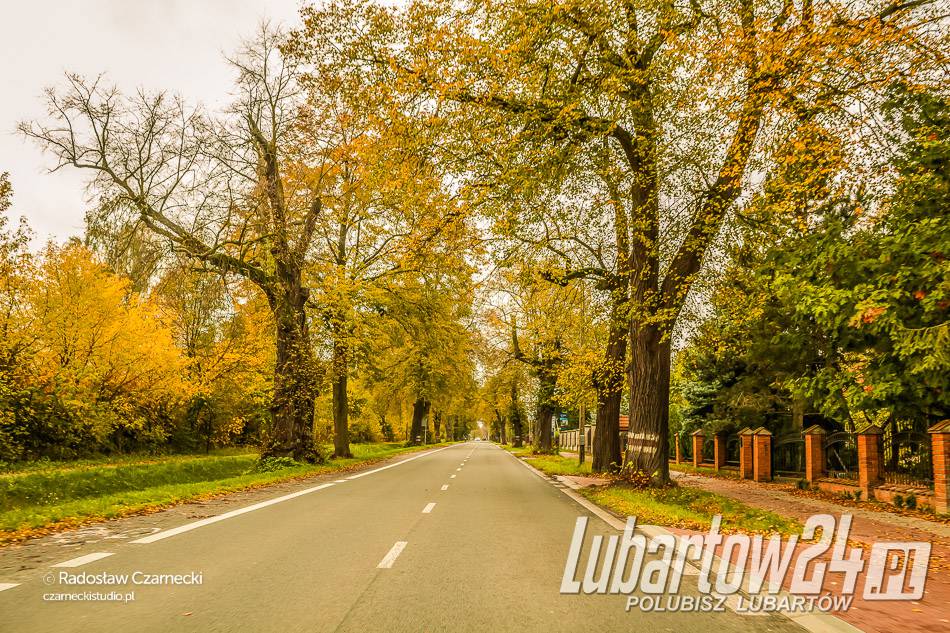 Lubartów