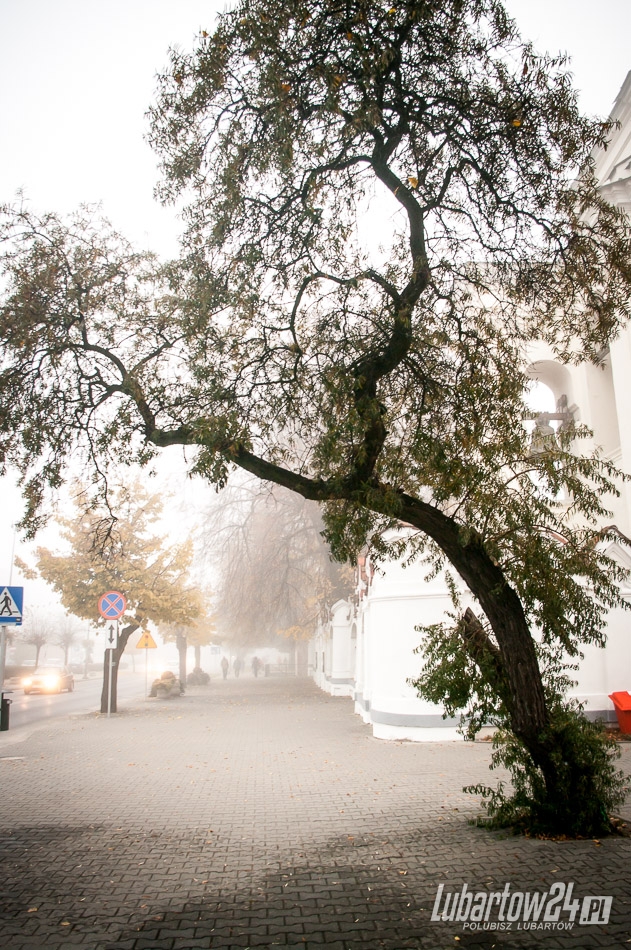 Lubartów we mgle