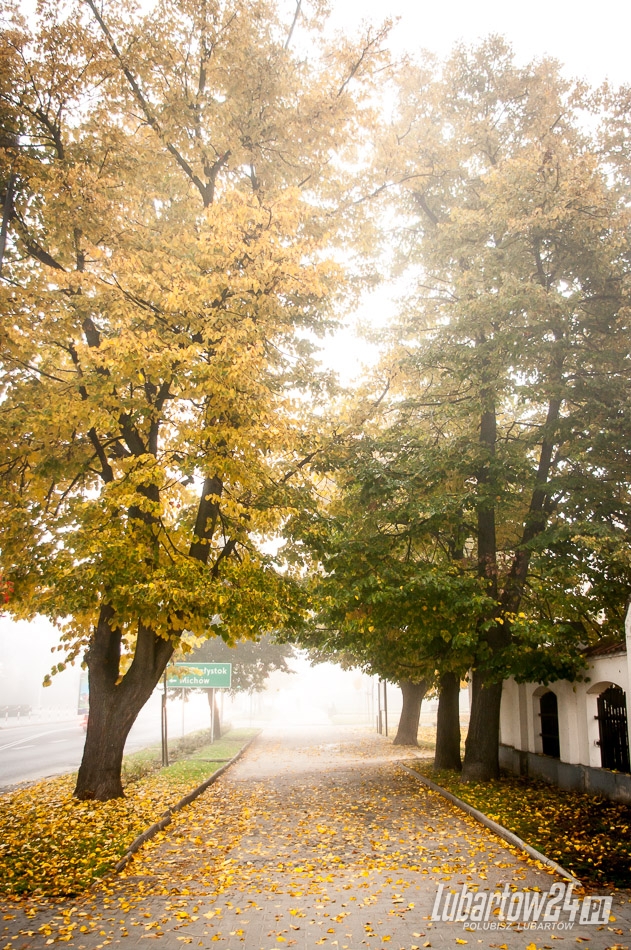 Lubartów we mgle