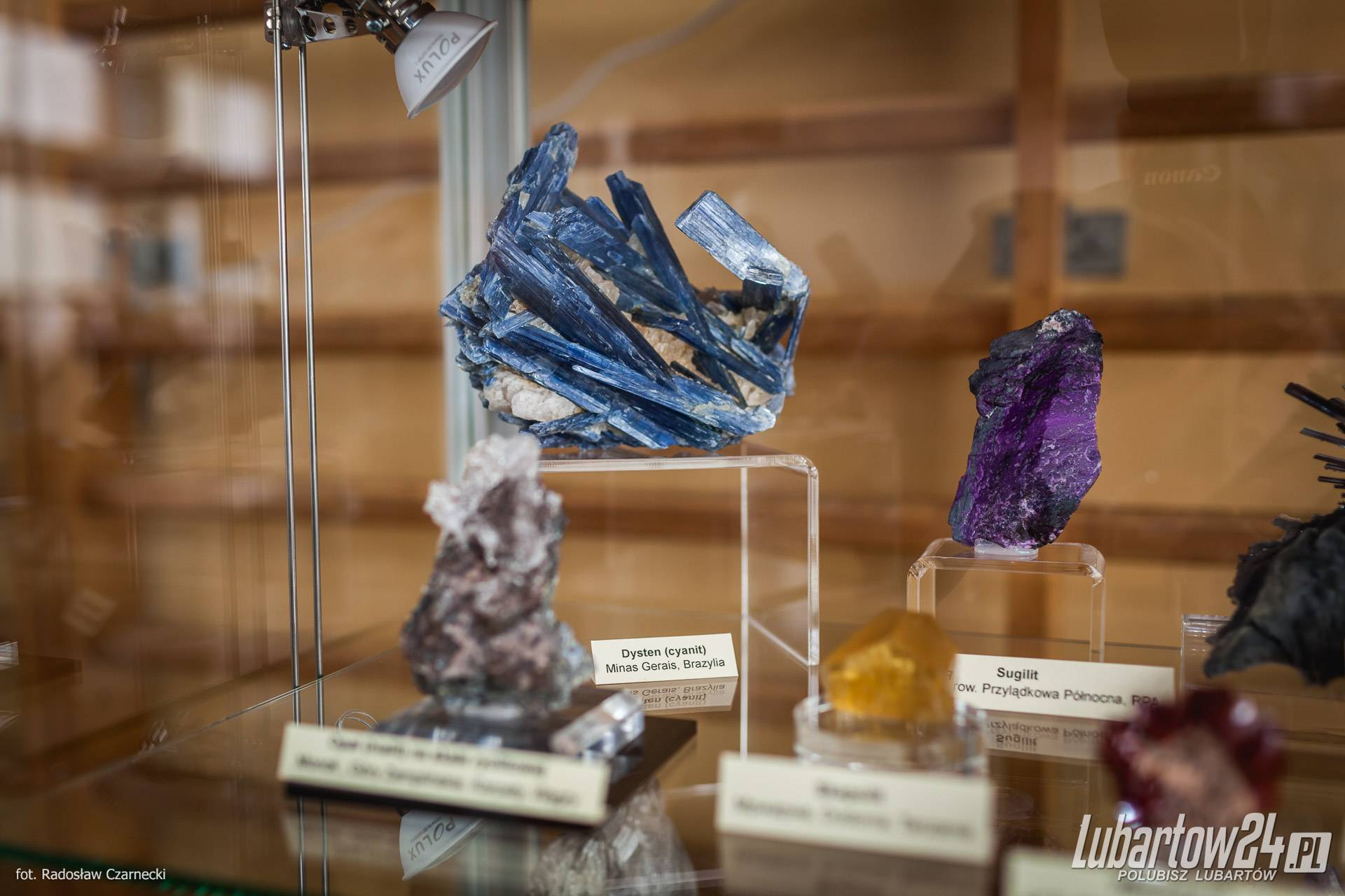 wystawa minerałów w Niedźwiadzie