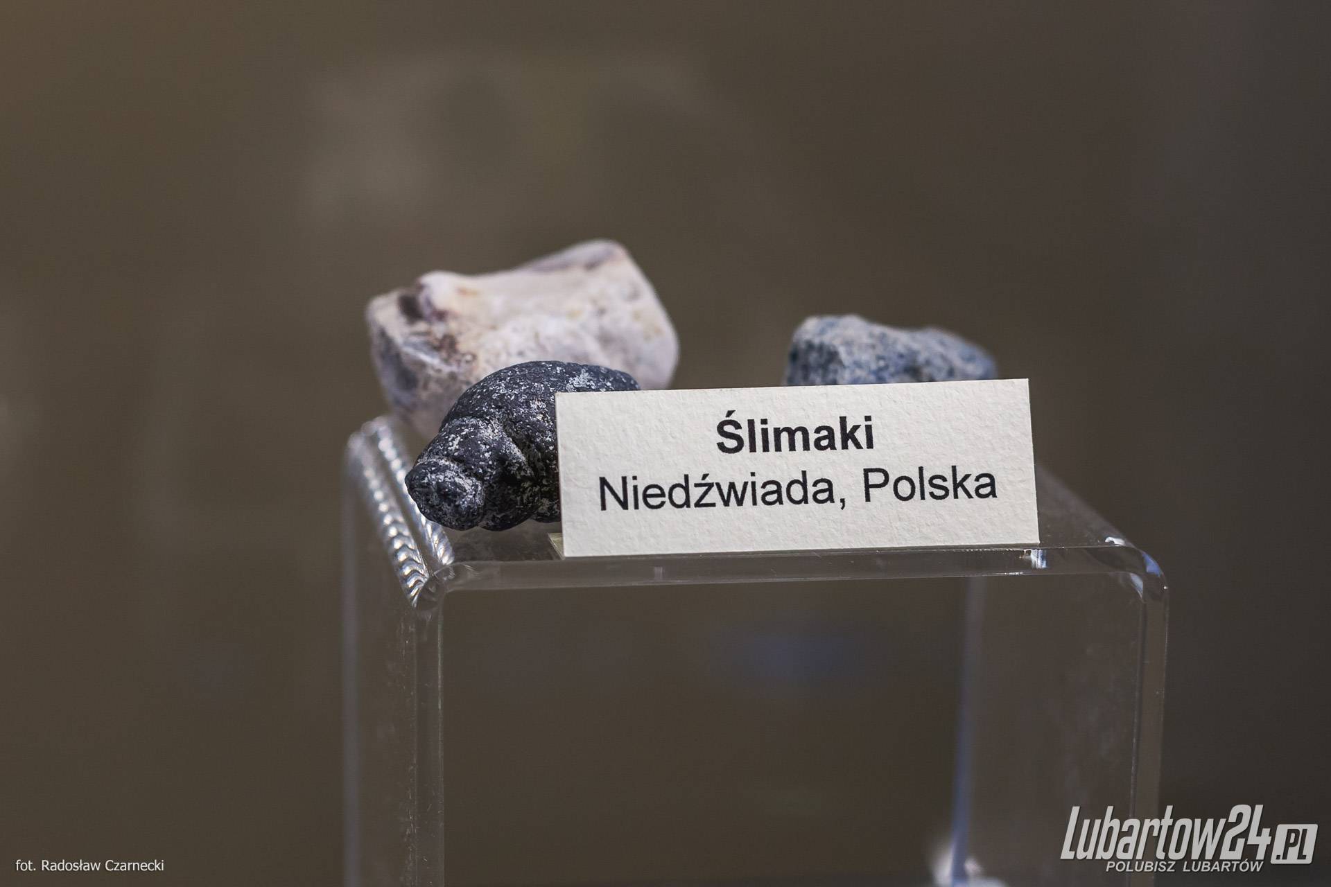 wystawa minerałów w Niedźwiadzie