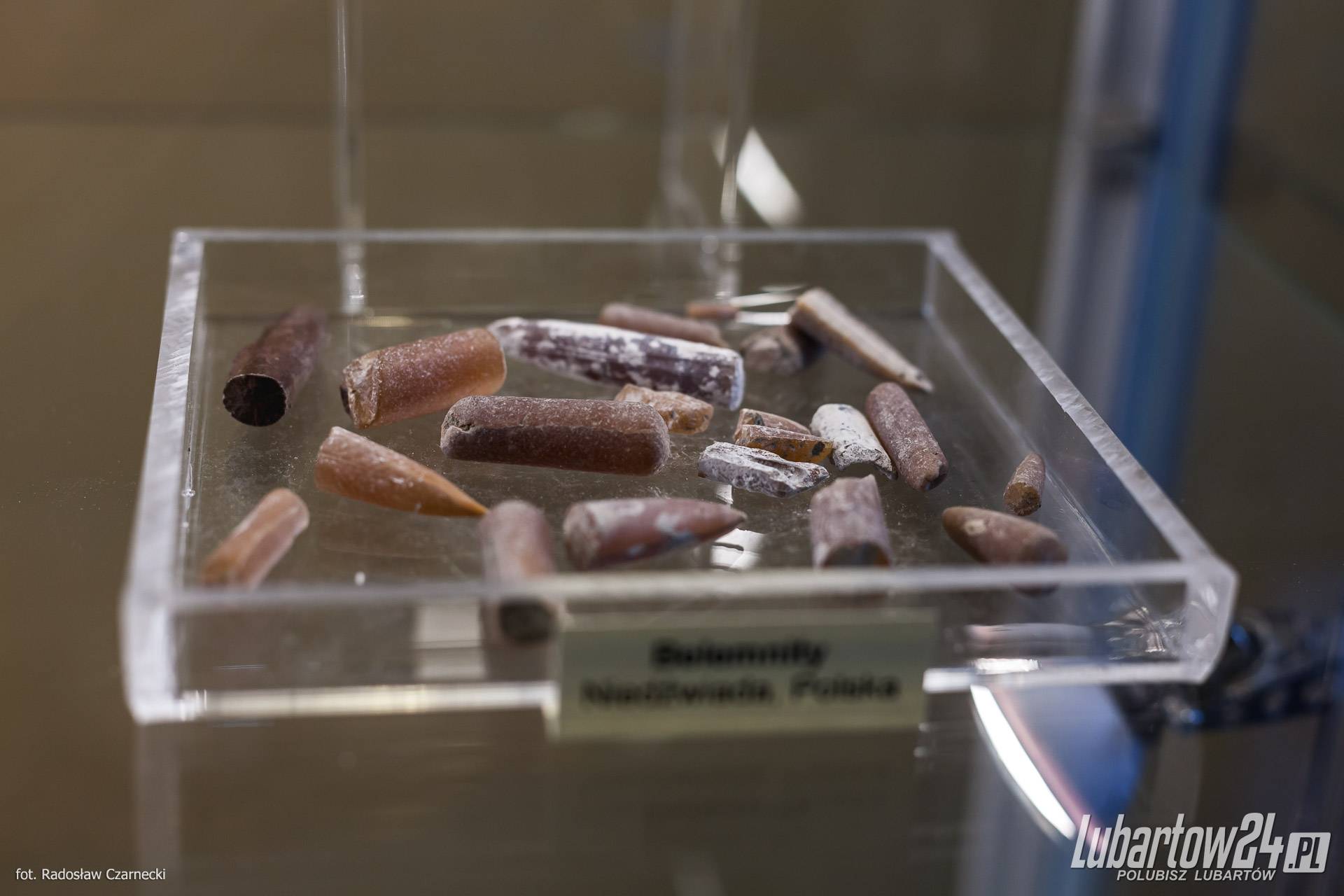 wystawa minerałów w Niedźwiadzie