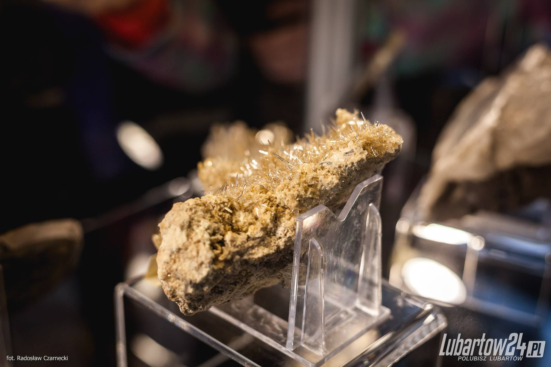 wystawa minerałów w Niedźwiadzie