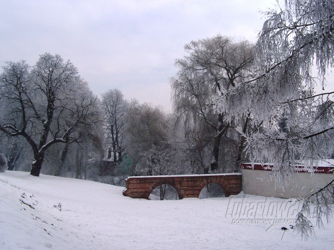 Lubartów, park