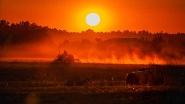 Ważny komunikat dla rolników: Jak prawidłowo zgłosić straty w uprawach?